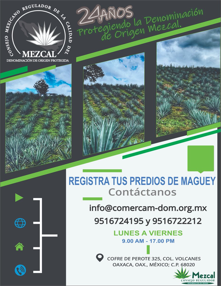 COMERCAM_AC's tweet photo. Todos los terrenos y predios de donde proceden los magueyes deben registrarse para obtener la Guía de maguey, la cual garantiza la edad, cantidad y especie de Maguey existente para su uso en la elaboración del Mezcal.
¡No Esperes más y regístralos!
 #ComercamAC #MezcalDOM #Mezcal https://t.co/PdeTEmf9PE