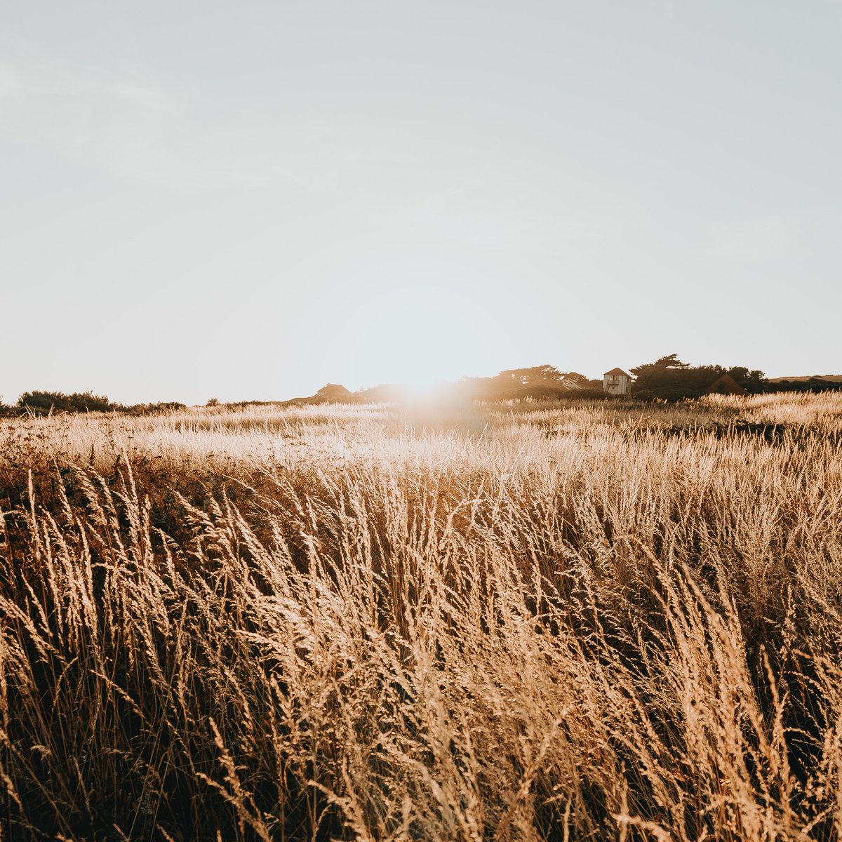 SylviteAg's tweet photo. Did you know that our Agronomy Solutions Newsletter goes out every Tuesday? In tomorrow's newsletter we are talking about Fall Weed Control with 3 Application Tips - Get on the list today! https://t.co/neNFwui7Db #ontag #newsletter #agriculture #fallburndown #harvest21 https://t.co/kkZlfBZp1U