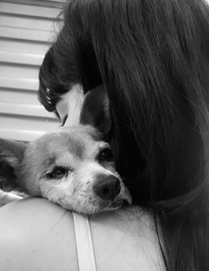 ᴄᴀxxɪ ꜱɪxx V Twitter Tan Juntos Siempre Mi Bebe No Se Como Estar Sin Ti El Amor Mas Puro Y Enorme Que Voy A Vivir En Mi Vida Mi Amor Enorme Pero