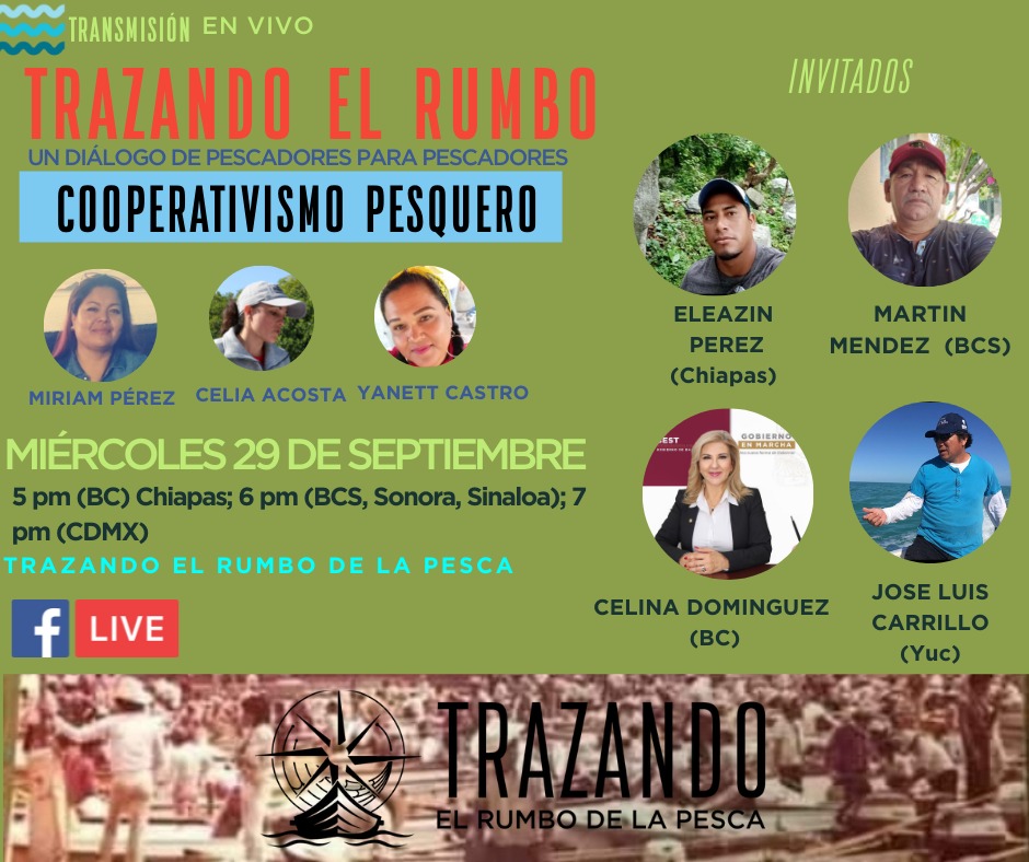 YanettCastro3's tweet photo. Listo,  pongan su alarma, ya esta aquí.📅😲👀⏰
Con invitados de lujo que nos aportarán mucho a esta conversación sobre COOPERATIVISMO PESQUERO, 
por nuestra pagina de TRAZANDO EL RUMBO DE LA PESCA,  no se lo pierdan, 👇
@JLChinoCarrillo 
@celina_dg https://t.co/WRSRBZzXkA