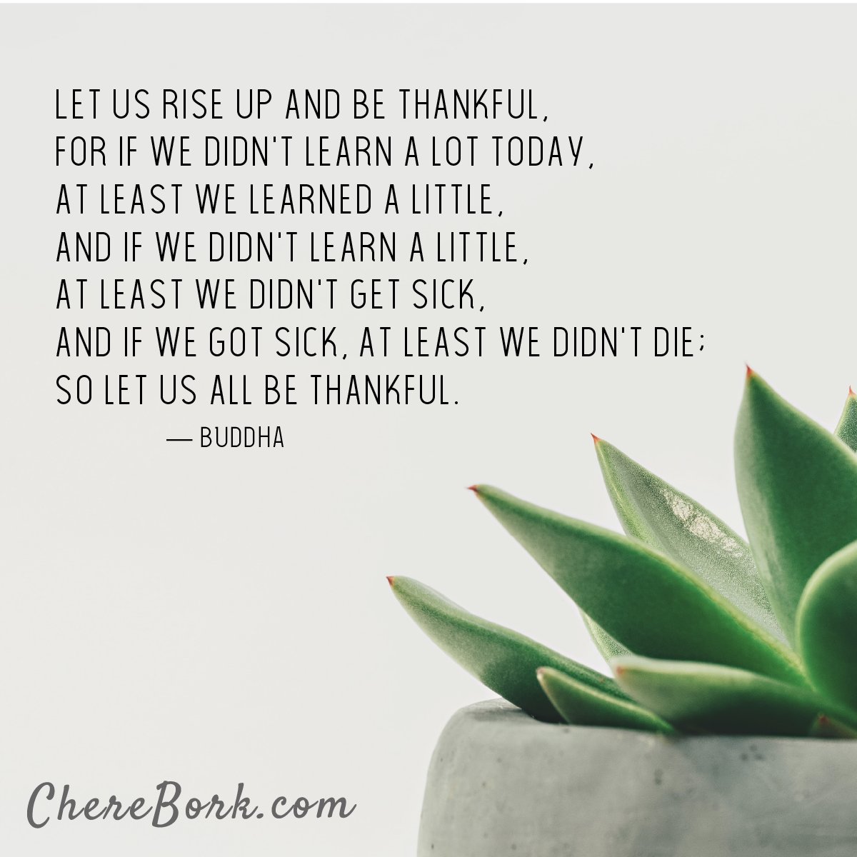 cherebork's tweet photo. Let us rise up and be thankful, for if we didn't learn a lot today, at least we learned a little, and if we didn't learn a little, at least we didn't get sick, and if we got sick, at least we didn't die; so let us all be thankful. -Buddha
https://t.co/XUS7qxelBR https://t.co/qj8lIutuCh
