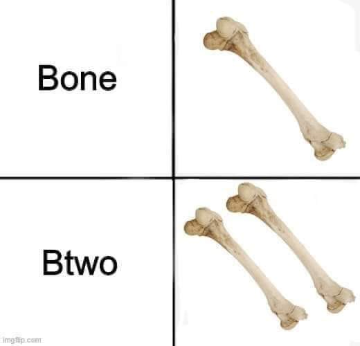 Two bones. Мемы про кости. Bones мемы. Шутки про кость.