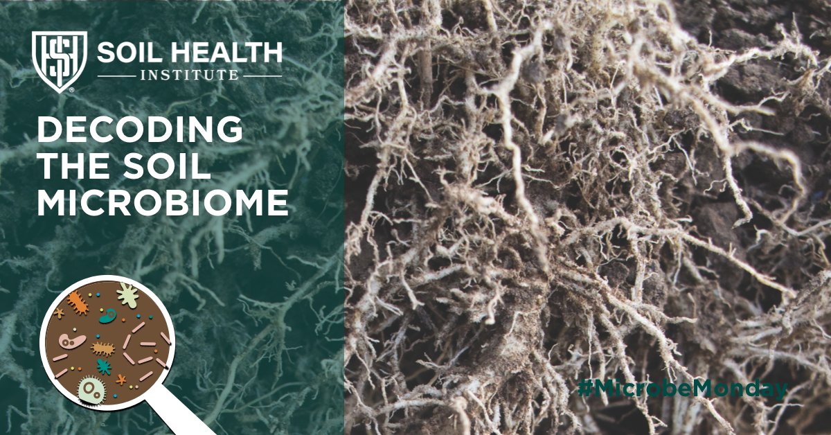 Microbes are known to be sensitive to inorganic N additions. But are the same microbes sensitive to N additions across climates and inherent soil properties? It turns out many bacteria respond similarly across these gradients.  Learn more:  zcu.io/NEsp #MicrobeMonday