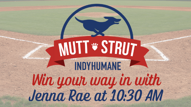 This year, #MuttStrut is taking over <a href="/TheVicIndy/">Victory Field</a>! Enjoy food trucks, live entertainment, face painting, pet costume contests and more while fundraising to support homeless pets <a href="/IndyHumane/">IndyHumane</a>.