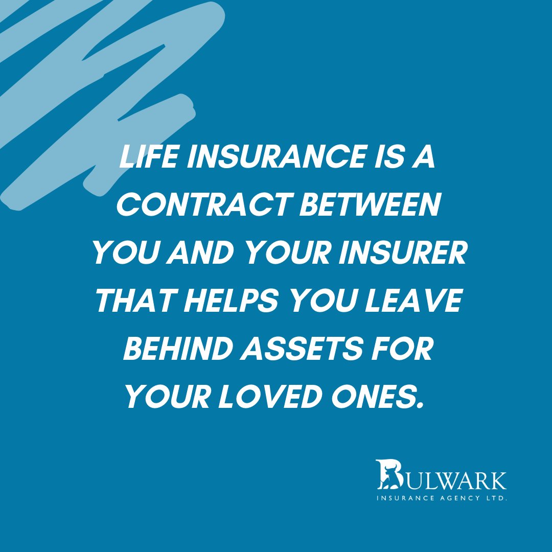 officialbulwark's tweet photo. Let us help you to make the right decisions.

#InsuranceMadeEasy
_______

https://t.co/akdsM8deWH

#bulwarkja #bulwarkinsurance
#bulwarkinsuranceagency 
#guardsincomeprotector
#gipplan https://t.co/Pv4KRwedah