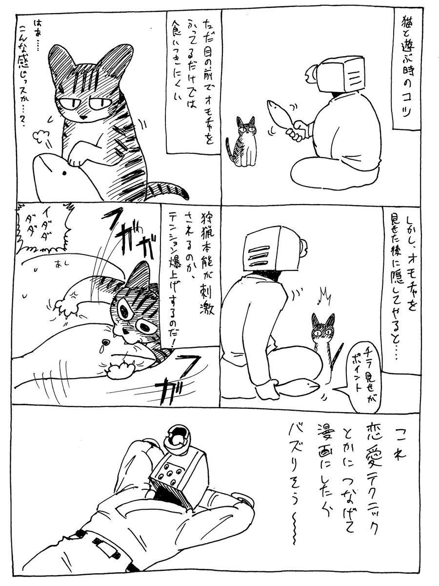 9/27
猫の仕様書 