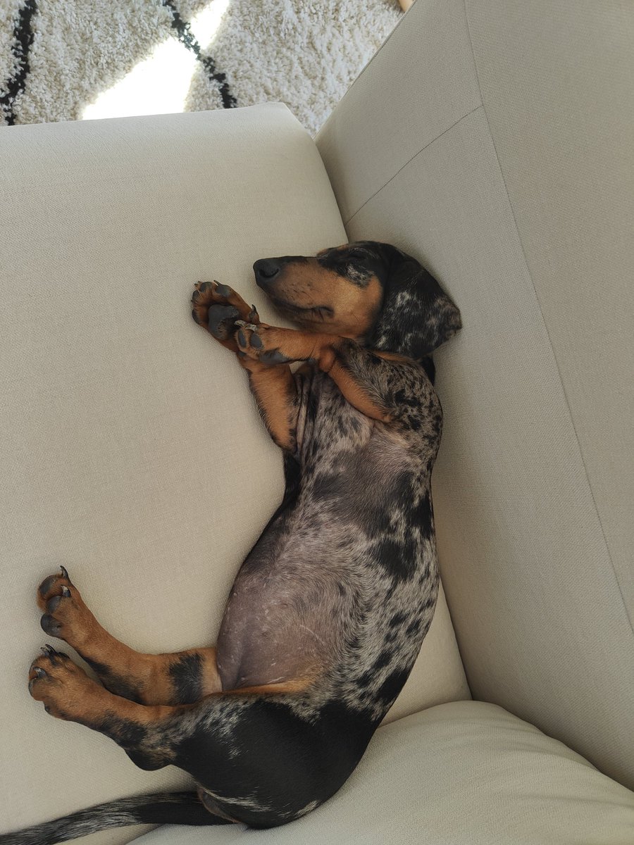 🥺🥺🥺🥺 <a href="/salsichinhas/">Salsichinhas</a>