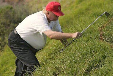 78_greis's tweet photo. @patriottakes OMG! how ignorant! He never fought at a war before. Here is an article about trump's family war history and also a more accurate picture of his physique.
https://t.co/l4robvVrBF https://t.co/EfKKm2MNzN