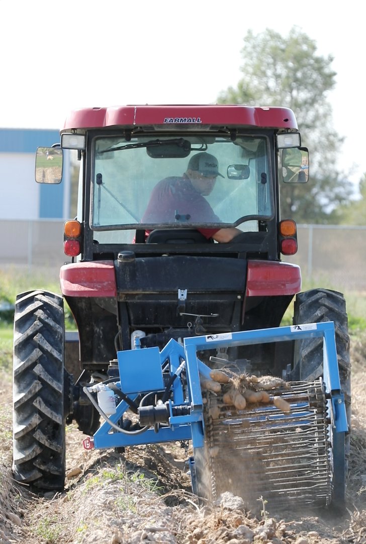 redoxgrows's tweet photo. It's harvest time! We've been harvesting our potato plots on the research farm and we'll be sending them off to the lab for analysis. #trialwork https://t.co/877GzDgTiS
