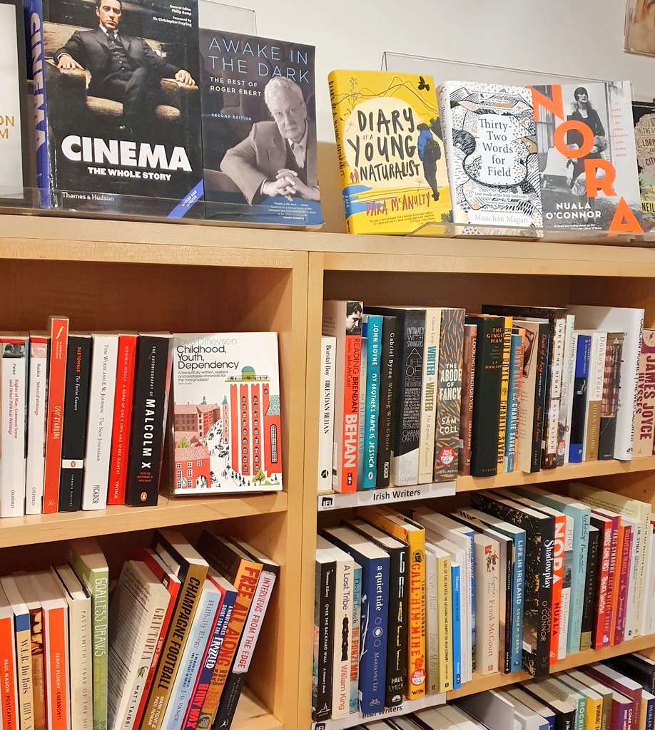 NewIslandBooks's tweet photo. Wonderful to see so many #NewIslandBooks floating around the shelves of @IFI_Dub #bookshop 📽📚. #AQuietTide @ThisMarianneLee #NoraNovel @NualaNiC #WalterMacken #Bogman #UlyssesGuide https://t.co/OcIxxGMBjM