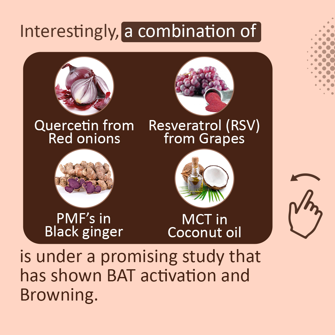 HurbzIndia's tweet photo. #BrownFat is that mysterious fat which is under intense research as scientists believe it has the potential to treat #obesity and #T2D. A serum combination has shown promising results.
#HurbzIndia #reengineeringhealth #HRC #hurbz #fat #disease #health #bodyfat #diabetes https://t.co/WMhqpxg38D