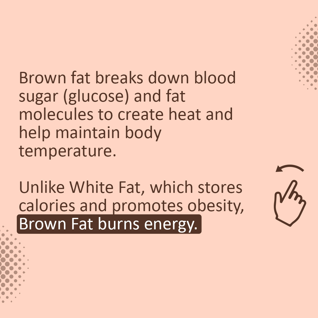 HurbzIndia's tweet photo. #BrownFat is that mysterious fat which is under intense research as scientists believe it has the potential to treat #obesity and #T2D. A serum combination has shown promising results.
#HurbzIndia #reengineeringhealth #HRC #hurbz #fat #disease #health #bodyfat #diabetes https://t.co/WMhqpxg38D
