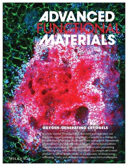 bencheriflab (@bencheriflab) on Twitter photo Our work “Oxygen-Generating Cryogels Restore T Cell Mediated Cytotoxicity in Hypoxic Tumors” is featured as a Frontispiece in Advanced Functional Materials. <a href="/Northeastern/">Northeastern U.</a> <a href="/NortheasternCOE/">Northeastern COE</a> <a href="/NU_ChemE/">Chemical Engineering at Northeastern University</a> @AdvSciNews Our work “Oxygen-Generating Cryogels Restore T Cell Mediated Cytotoxicity in Hypoxic Tumors” is featured as a Frontispiece in Advanced Functional Materials. <a href="/Northeastern/">Northeastern U.</a> <a href="/NortheasternCOE/">Northeastern COE</a> <a href="/NU_ChemE/">Chemical Engineering at Northeastern University</a> @AdvSciNews