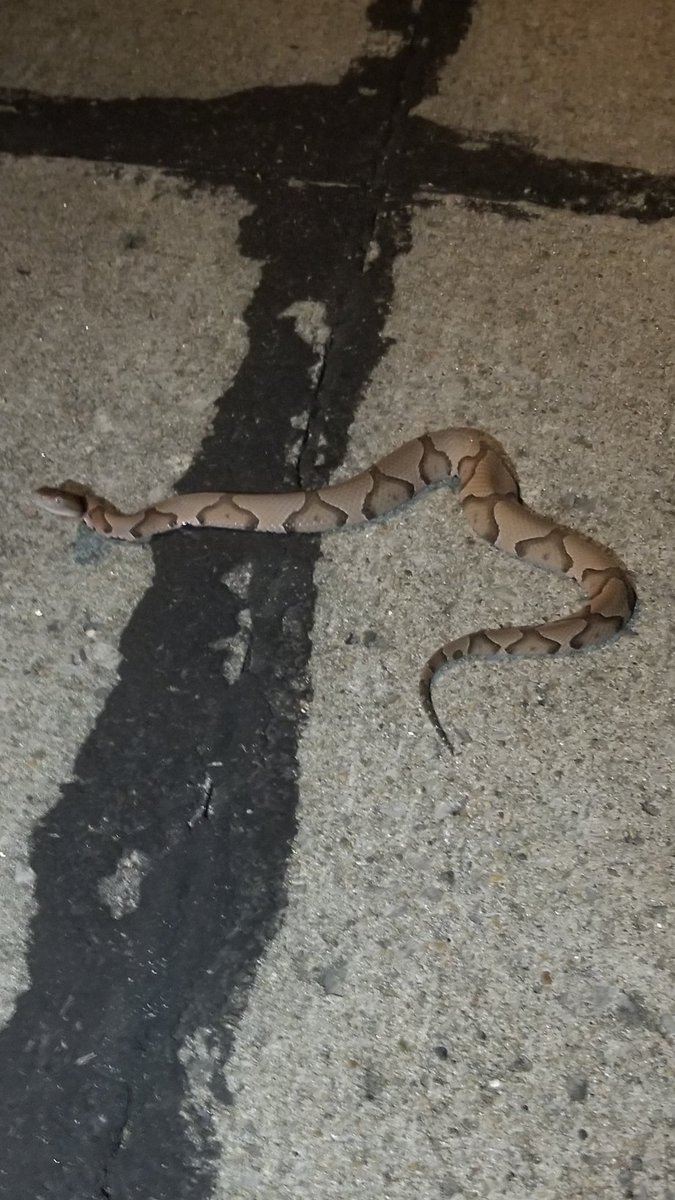 Tim Sullivan tweet media