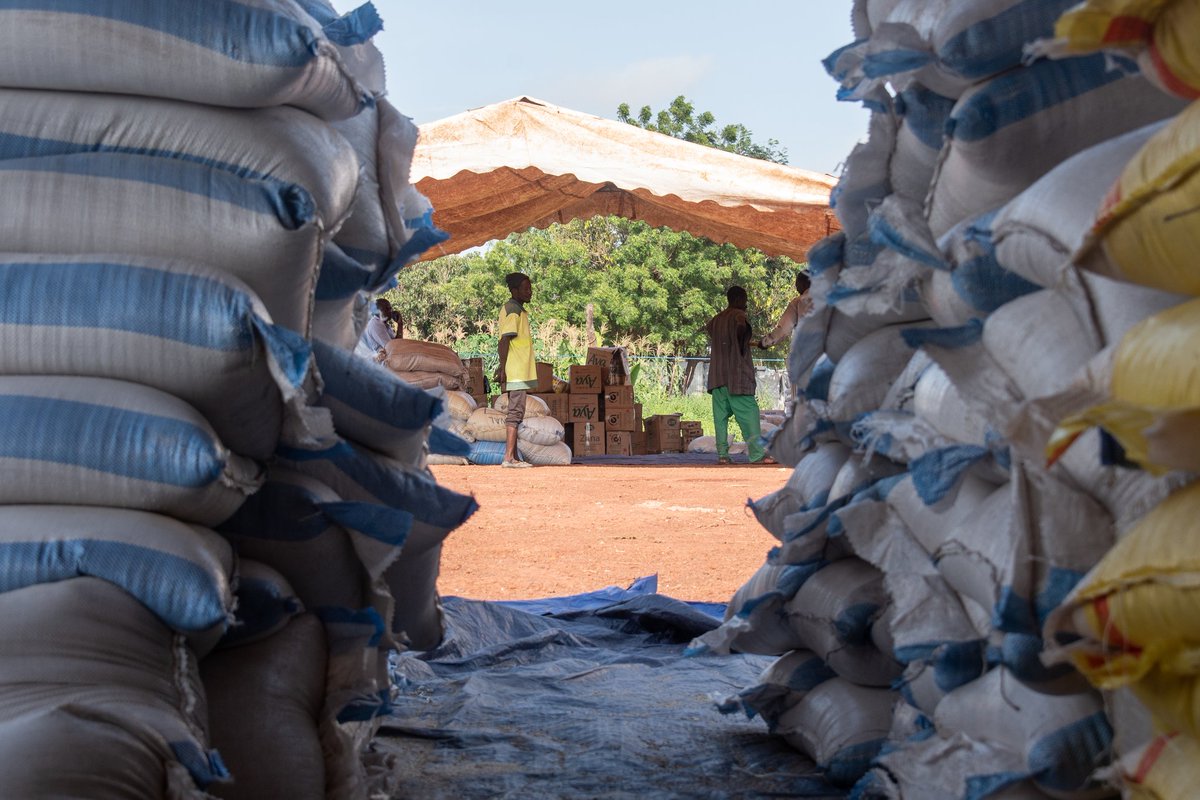 <a href="/do_bamako/">Embaixada do Brasil em Bamako Mali</a>  
Distribution de 60 tonnes d'aide alimentaire aux déplacés de senou, le 24/09/2021.