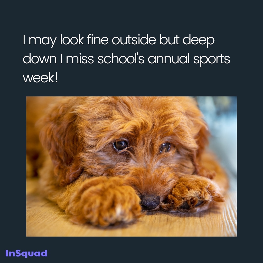 InSquadApp's tweet photo. What's your favourite sports day/week memory? https://t.co/VS1ni1eYno