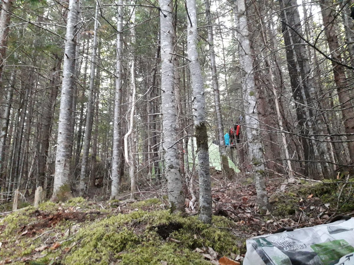 Camp life! #explorenl #scoutsdostuff #scoutscanada #nlscouts #getoutside <a href="/scoutscanada/">Scouts Canada</a> <a href="/NLScouts/">NL Scouts</a>