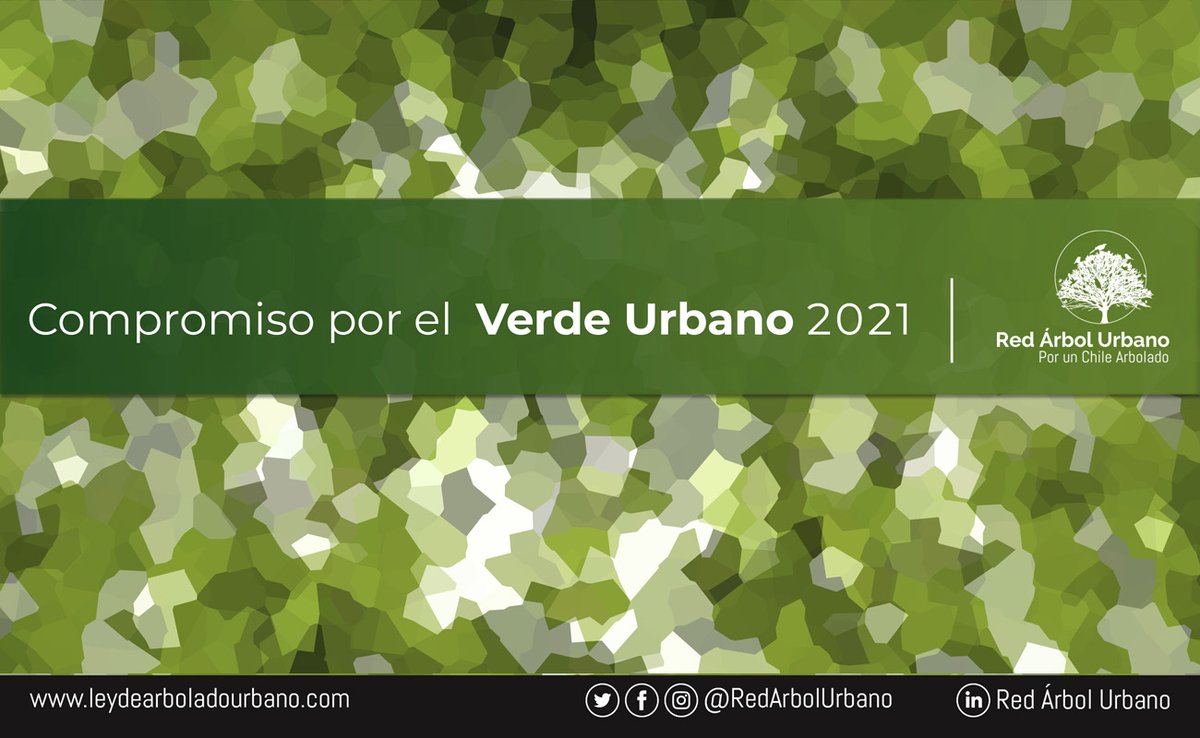 redarbolurbano tweet media