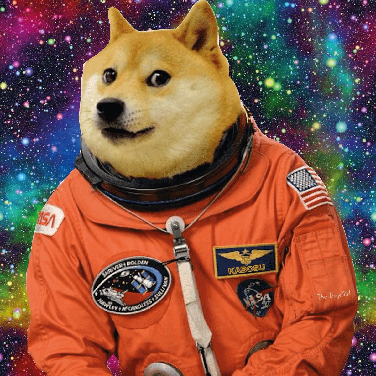 Catalina Andrade tweet media