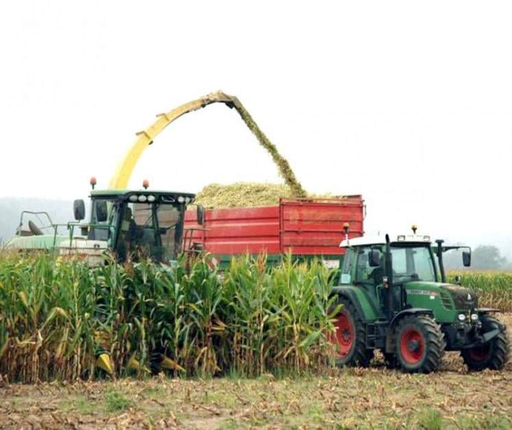DEMEURESolution's tweet photo. Les ensilages de maïs sont en cours...
Bonne récolte à tous https://t.co/lskLSRhBV2