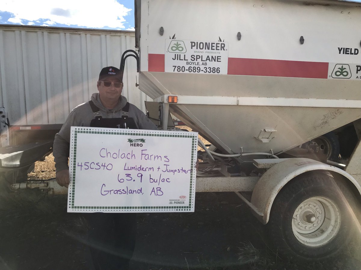 Jill_Splane's tweet photo. An amazing yield for such a dry year! Way to go Allan Cholach! @PioneerSeedsCA #yieldhero21 https://t.co/sBK2mO6D0p