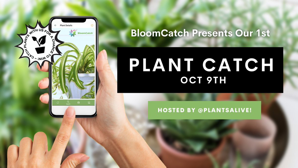 BloomCatch's tweet photo. Calling all DMV #plantparents. Come on out, enjoy being with plants, and meet us in person at this FREE event.  RSVP here -> https://t.co/pVbbi8Jbzw
#plantlover #bloomcatch https://t.co/IHqpL6IkL0