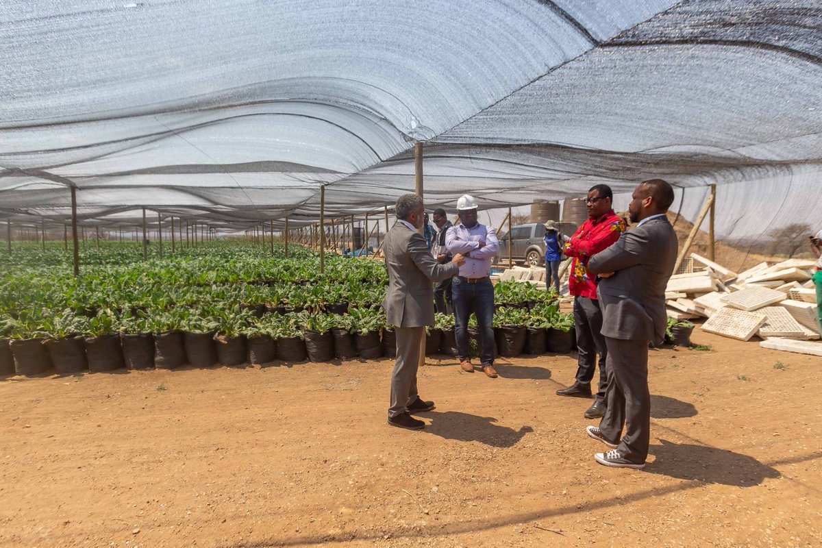 OngosV's tweet photo. It was a great honor to welcome Hon. McHenry Venaani (MP) for a site visit this afternoon at the Ongos Valley Development project. Its always a pleasure to showcase the progress at Ongos Valley & give more insight about our development.
#ongosvalley #sitevisit #progressonsite https://t.co/OJDHlqfVQM
