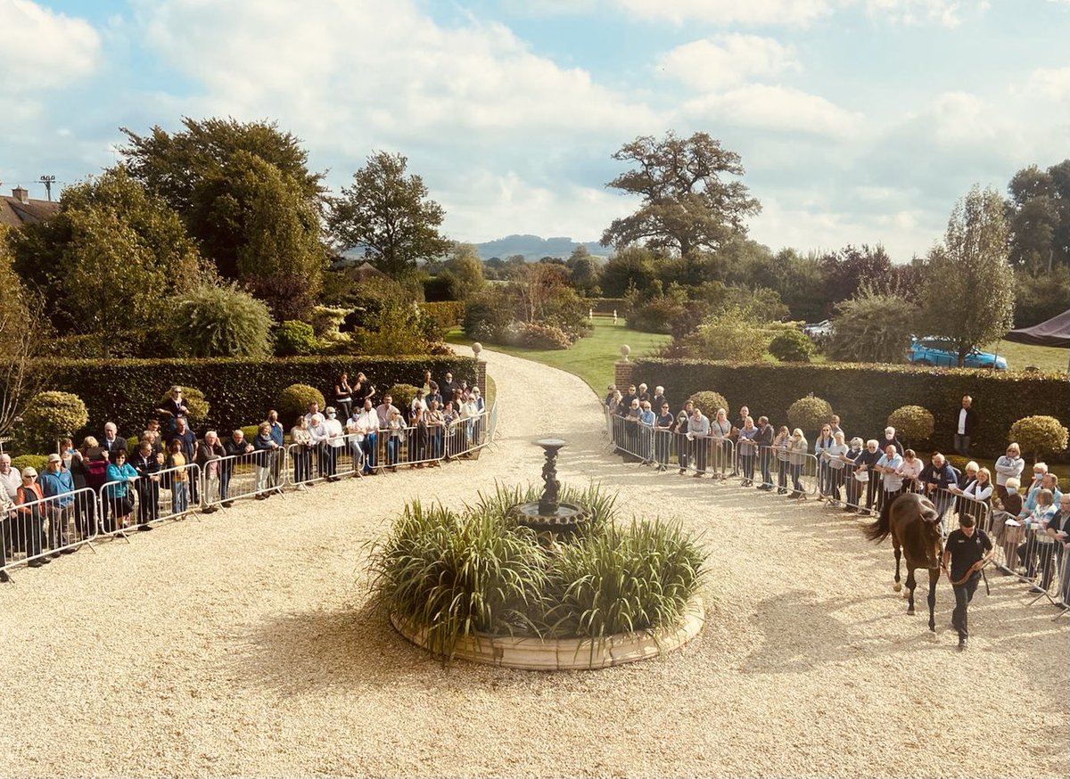 PFNicholls's tweet photo. It was lovely to welcome some members of the owners group syndicate to Highbridge yesterday to show them their string of horses for the season. They have been great supporters of the yard &amp; I hope they will have lots more success this season. https://t.co/vrqhTBL23h