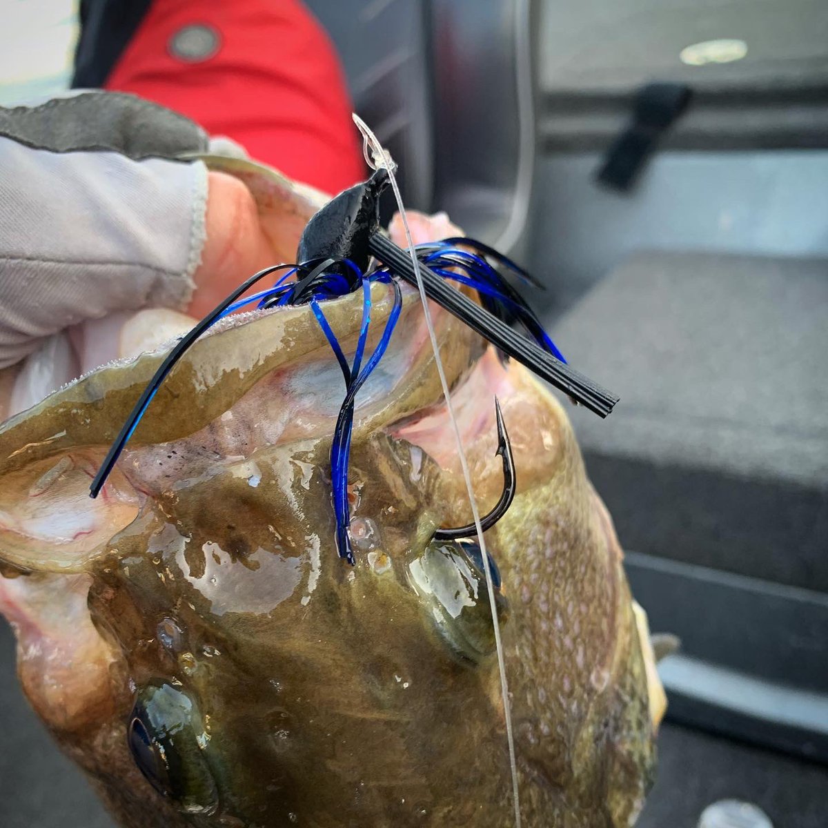 What did you catch them on this weekend?