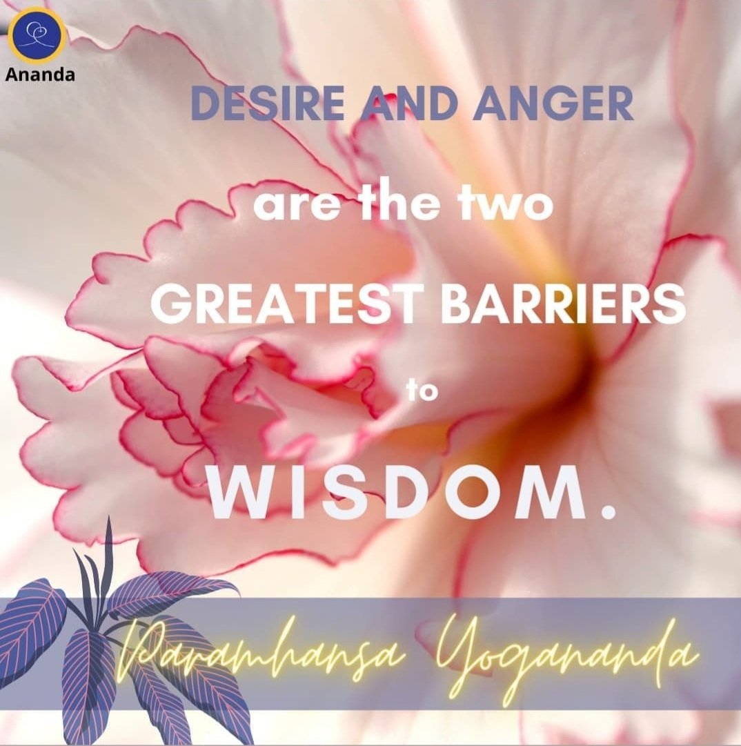 AnandaMumbai's tweet photo. What you should not have!!!
#anandamumbai #swamikriyananda #paramhansayogananda #ananda #spiritual #meditation #sriyukteswar #lahirimahashya #mahavtababaji #kriyayoga #krishna #JesusChrist https://t.co/S9KQbNXqcn
