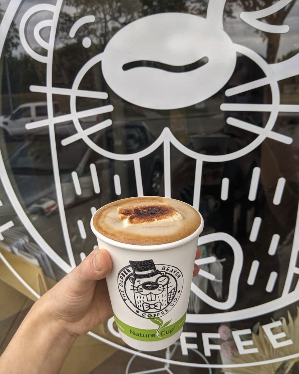 TheDapperBeaver tweet media