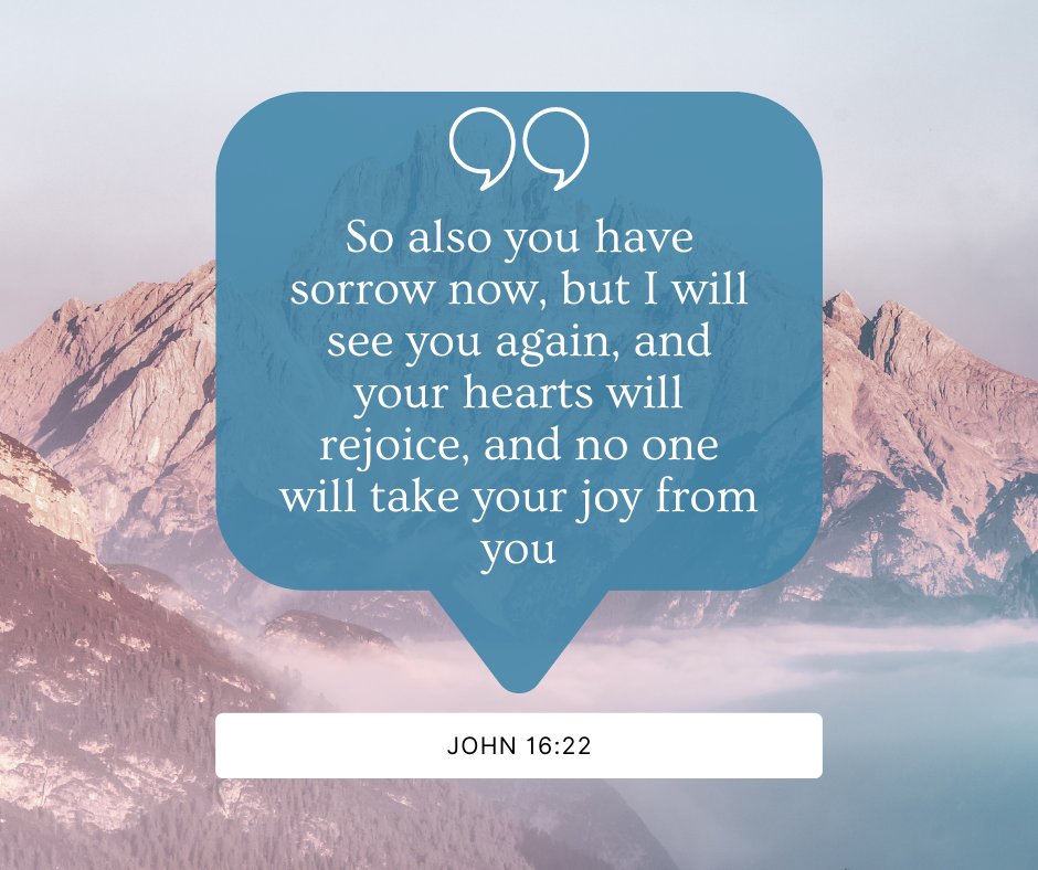 Stonecroft tweet media