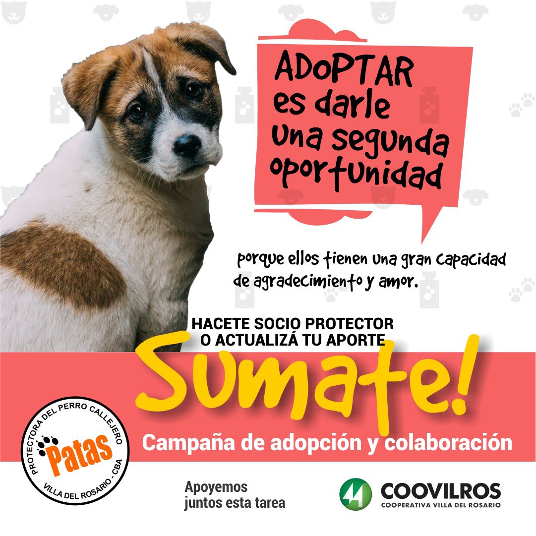 Coviteve Coovilros (@coviteve) on Twitter photo 