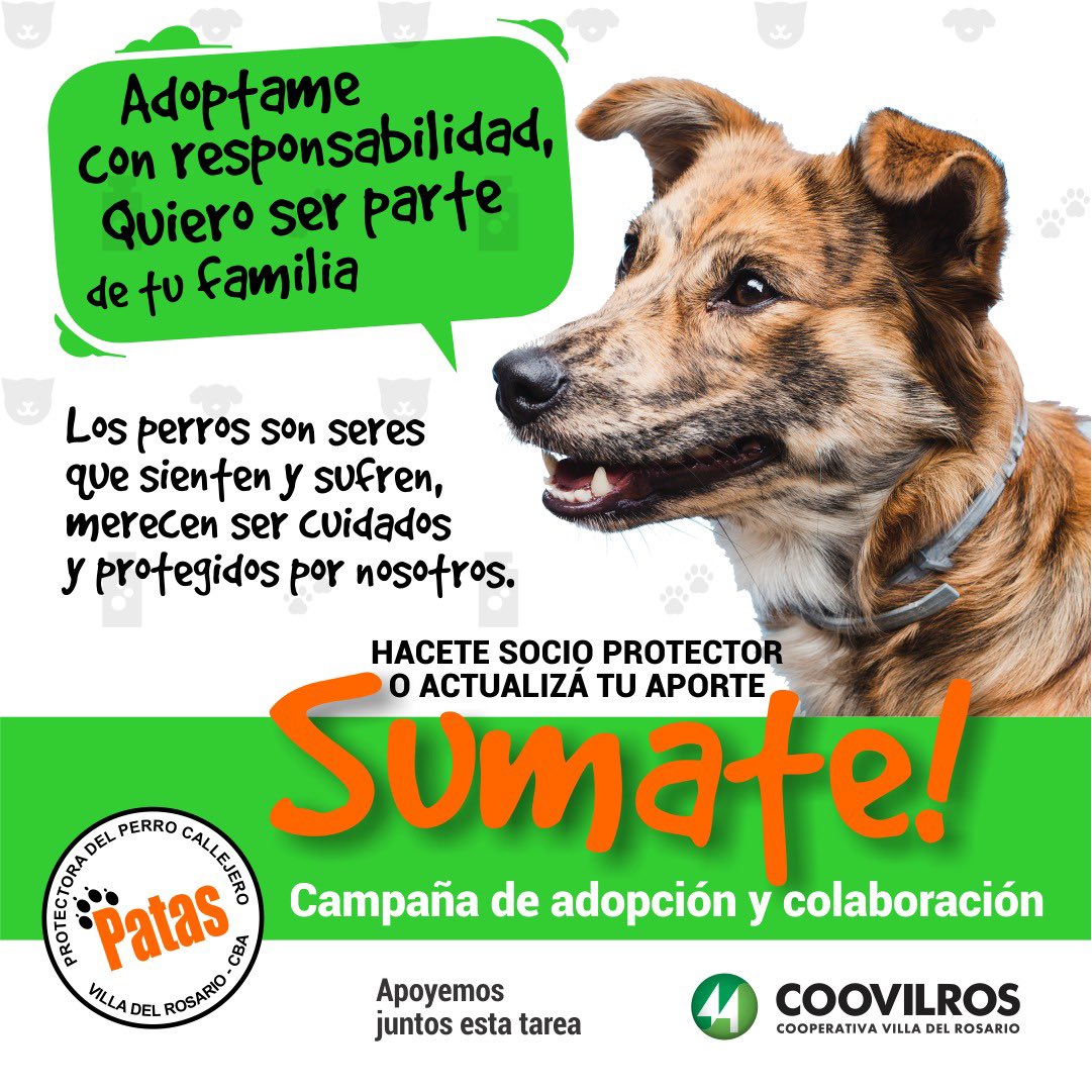 Coviteve Coovilros (@coviteve) on Twitter photo 