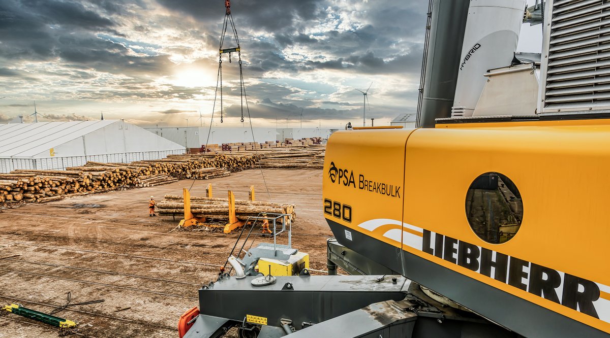 LH_Maritime's tweet image. Knock on wood! In Antwerp, an LHM 280 also handles logs if necessary. The versatility of the application possibilities characterises the LHM. A true multi-talent.

#liebherr #loghandling #mobileharbourcrane #LHM #LHM280 #breakbulk #timberhandling @PSAAntwerp @PortofAntwerp