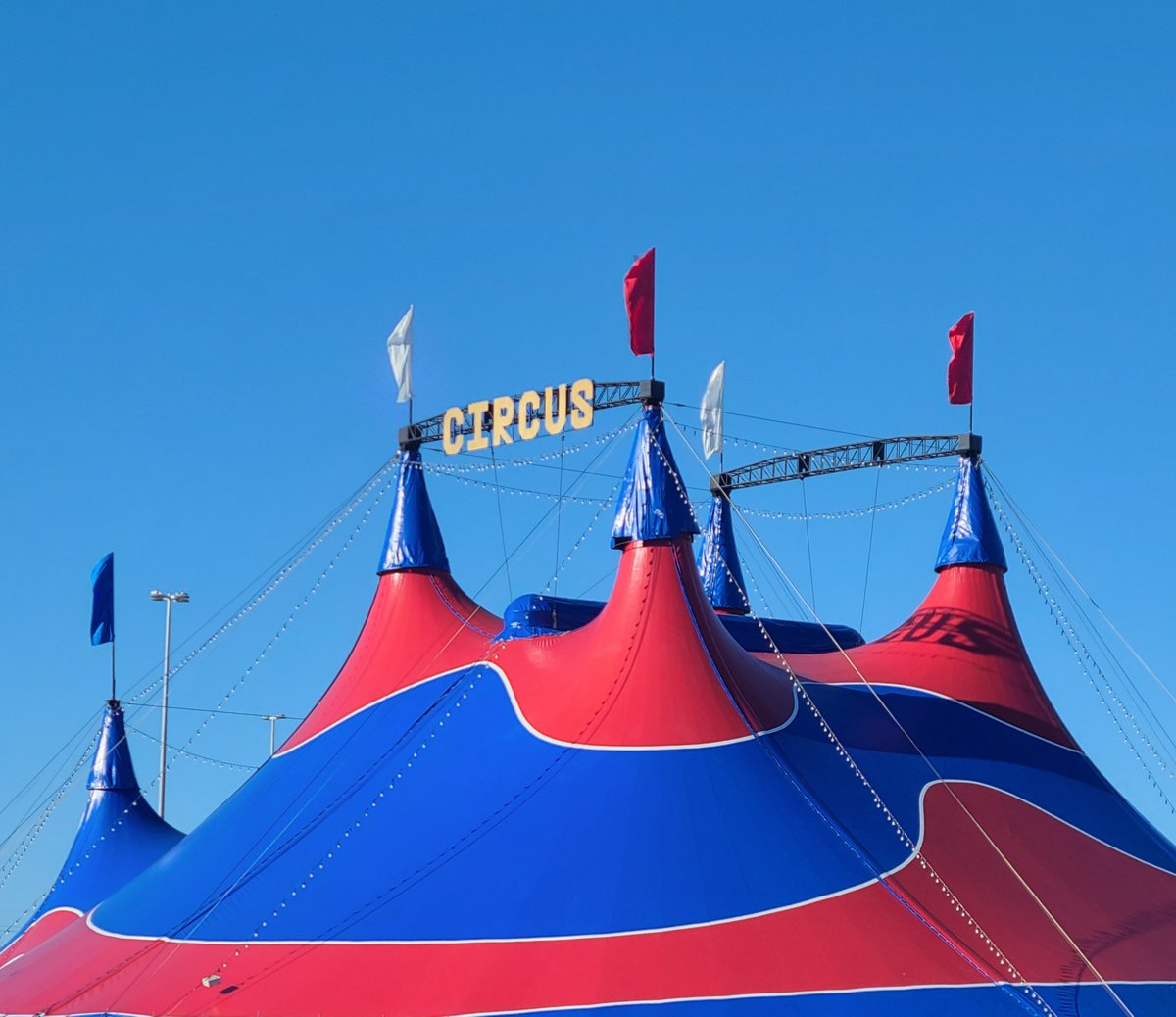 Do Portugal Circus is here at Augusta Mall! You can't miss it 🎪 🎉 
Get your tickets: spr.ly/6013JBvmb