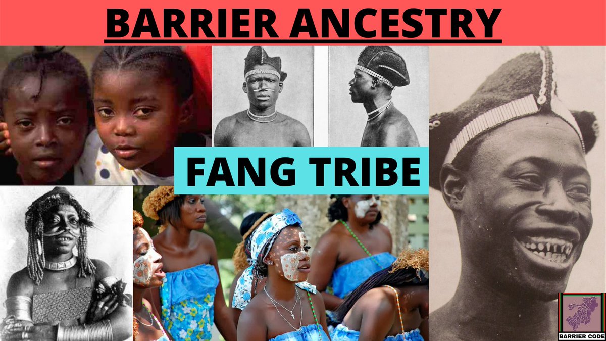 barrier_code's tweet image. The Fang people are a Bantu ethnic group found in Equatorial Guinea, northern Gabon, and southern Cameroon. They are traditionally farmers and hunters. 

Learn More: loom.ly/TaRfPZs

#BarrierAncestry #BarrierCode #Fang #Africa