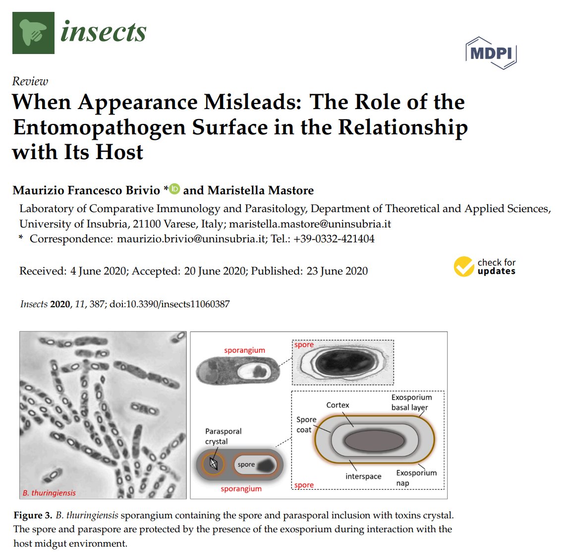 BrivioLab's tweet image. Entomoparasites #nematodes  #fungi #wasp #Bacillus #thuringiensis #insects Involvement of surfaces in the relationships between hosts and parasites

mdpi.com/2075-4450/11/6…