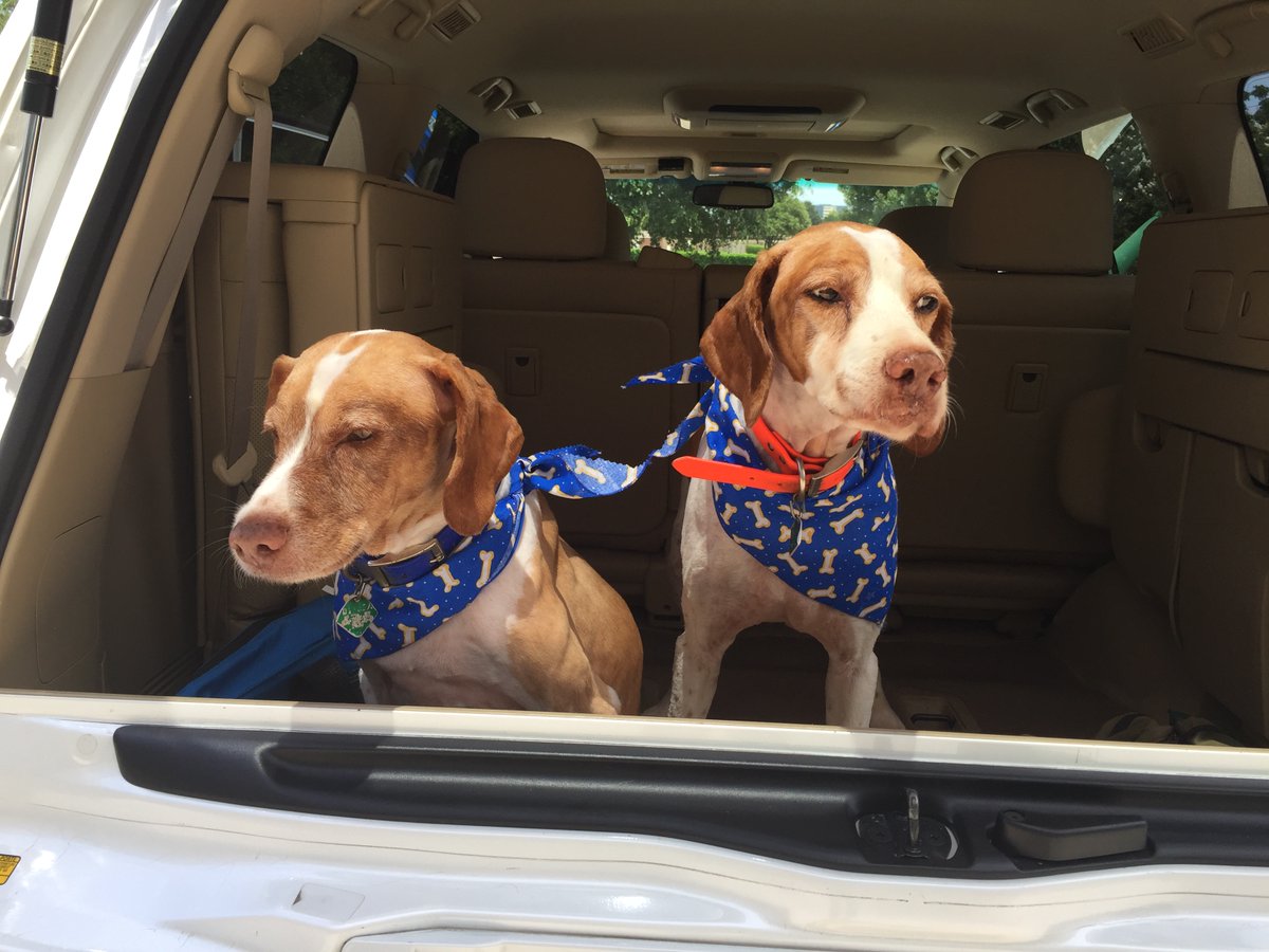 Pete Delkus tweet media