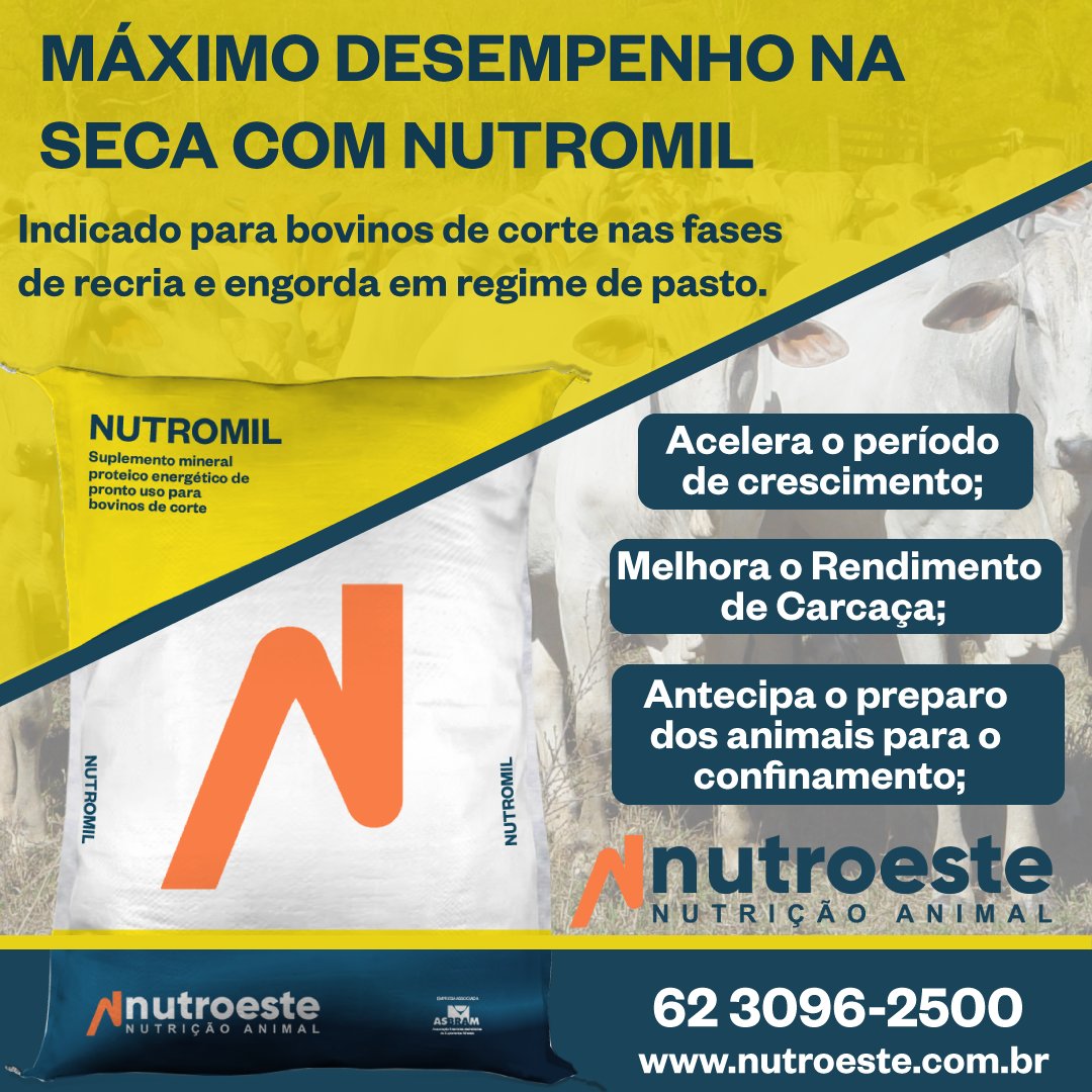 NUTROESTE's tweet photo. Com excelente desempenho na seca, o Nutromil é o suplemento proteico energético mineral com promotor de crescimento e vitaminas.
.
Ligue (62) 3096-2500 ou (62) 9 9679-7515 e converse com um consultor nutroeste e saiba mais.
#nutroeste #pecuariadecorte #pecuaria #nutricaoanimal https://t.co/vG8IR2OAVh