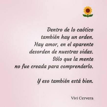Vivi Cervera ☘️ tweet media