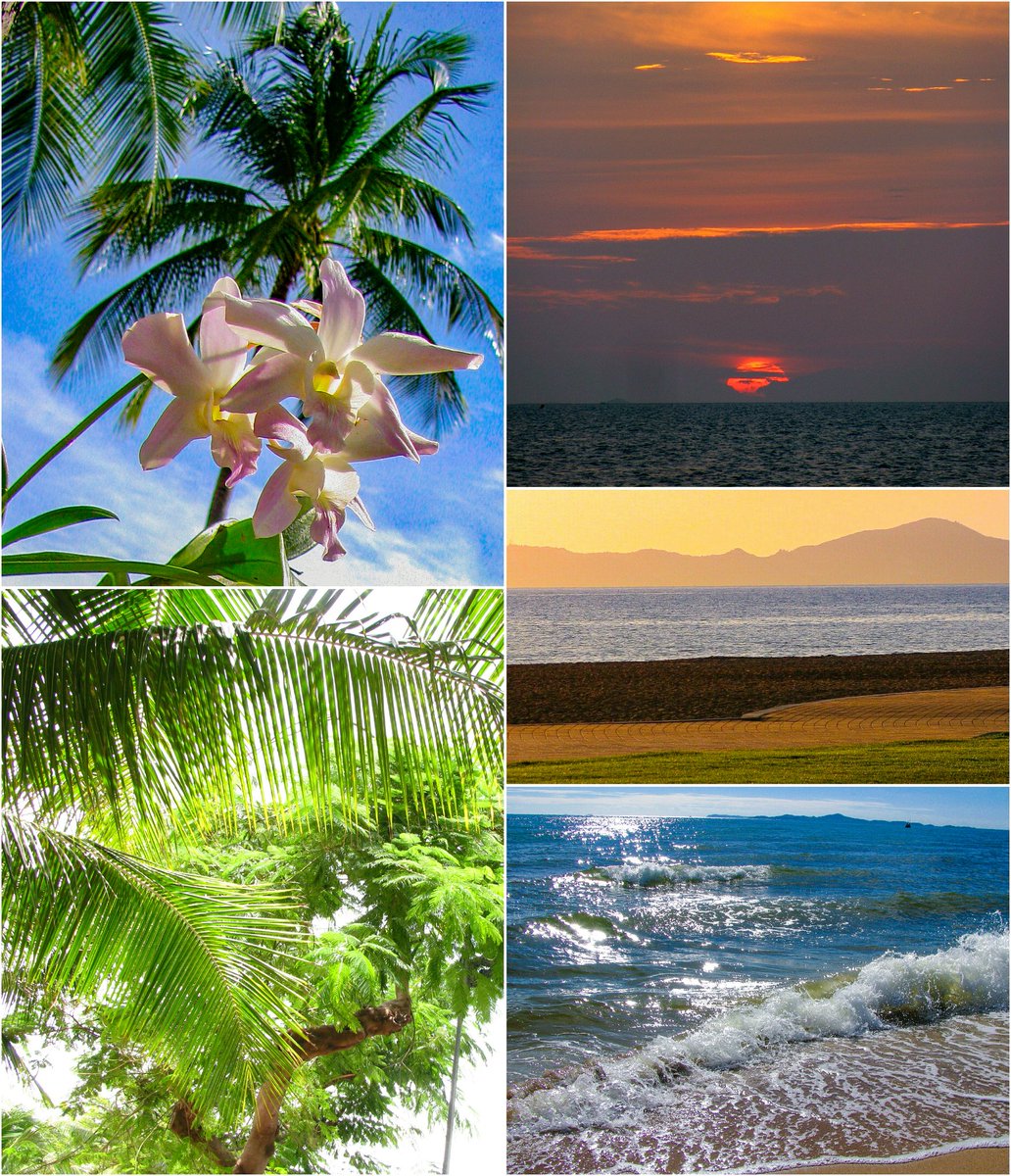 LaneStrannik's tweet photo. On pics: #Thailand
#photography
#Trip #LetsGoOnATrip #TravelSoon #ILLGoTraveling #GoTravel ✈️☀️🌴 #WillGoToOtherPlacesSoon ☀️🐦📷
#WorldTourismDay
Forward To The Trip In Soon Future Time In Other Places😍 https://t.co/6AUCF4Npek
