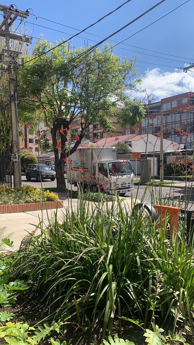 Mutual_Co's tweet photo. @TransitoBta este vehículo en la calle 123 con carrera 17a noche y día estacionado en lugar prohibido y bloqueando paso en calle peatonal. Peligro total. Multa y patios! WDP505 https://t.co/PcmVGK34gw