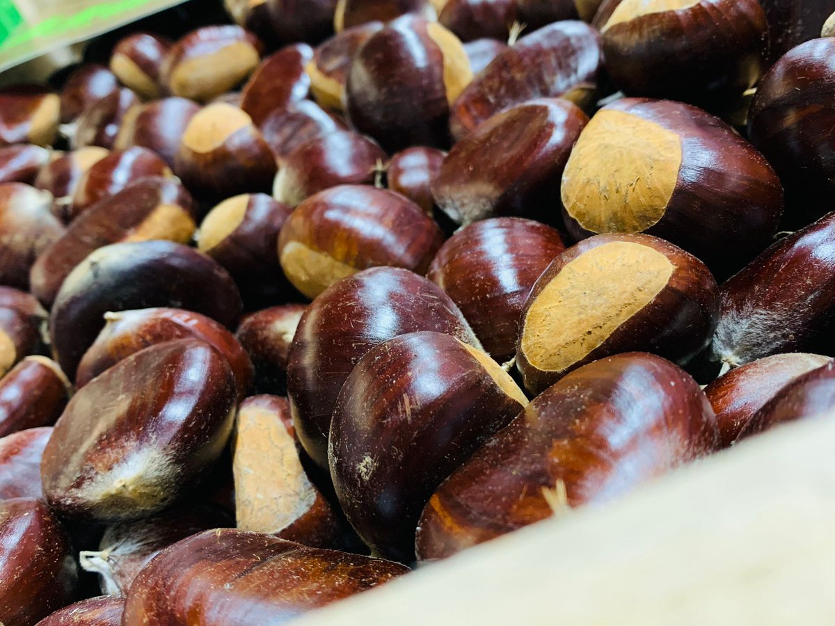 wellockshome tweet media