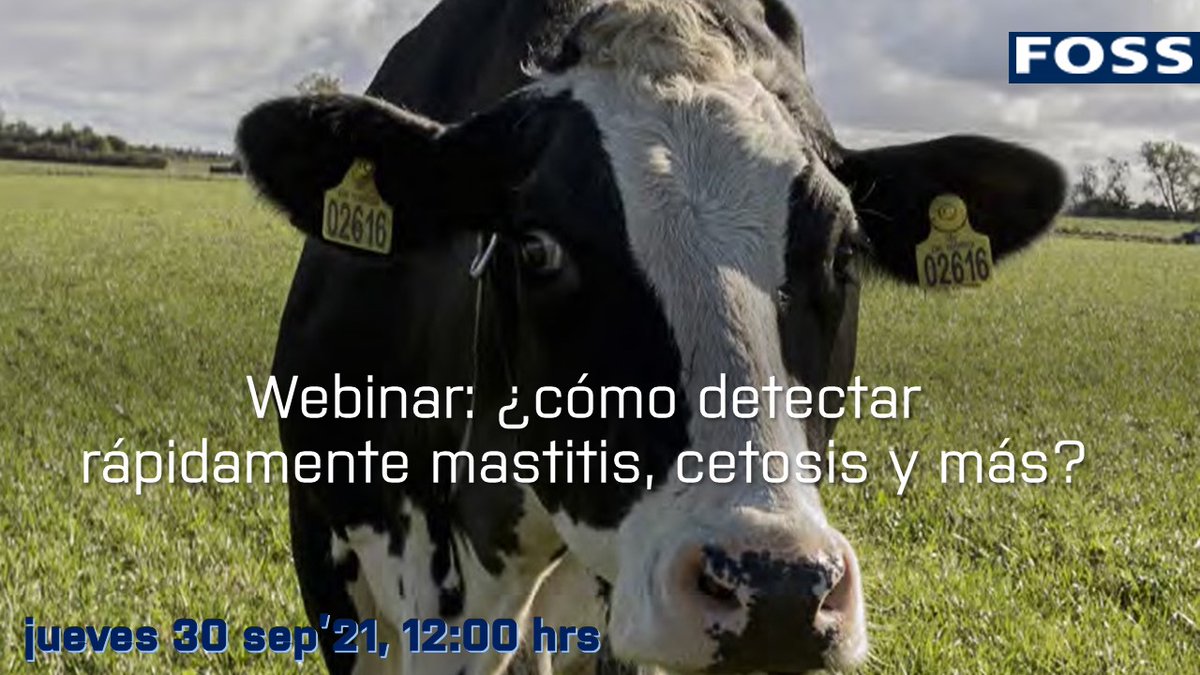 FOSS_Mx's tweet image. Webinar Gratuito:
 ¿Cómo detectar rápidamente mastitis, cetosis y más? | Jueves 30 de sep'21, 12:00 hrs CDMX...
Únete por la plataforma TEAMS…
teams.microsoft.com/l/meetup-join/…