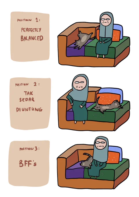 The Sofa Territory Saga continues. 