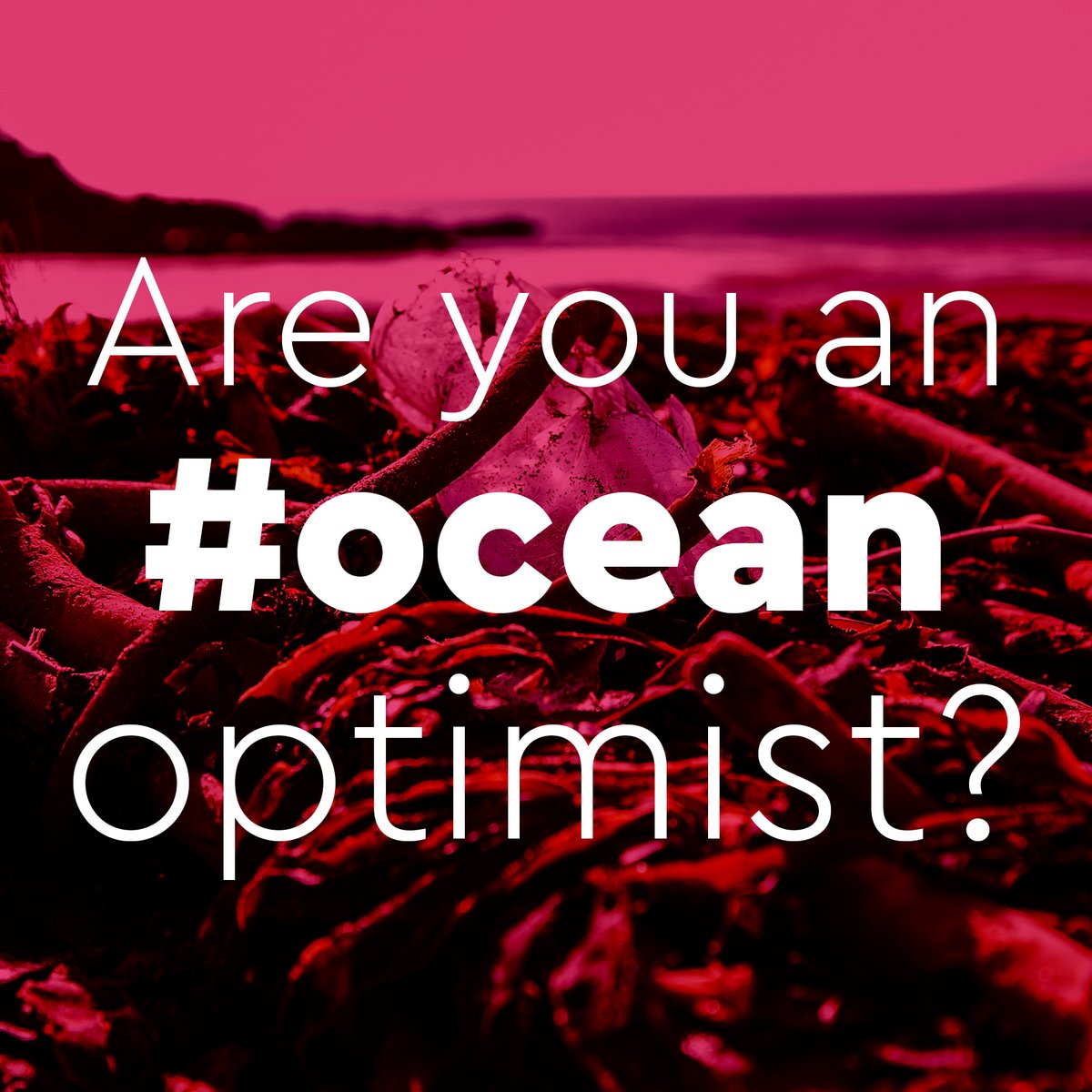 OceanCTrust's tweet photo. Are you an #oceanoptimist? 

Are you hopeful about the fate of our planet? 

Would you rather talk about the positives or the negatives? 

Do you think it works to show people images of the problem, or give them hope for the solutions? 

We’d love to know what you think! https://t.co/T5rNQ8Hy5R