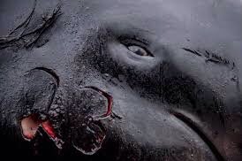 PieterseMarc's tweet photo. Number 23 is not a lucky number💔

Not any number is a lucky number when it is carved in a murdered body👺

There is no justification for #Grindadrap

#BoycottBakkafrost📉
#BoycottHiddenfjord📉
#BoycottMarineHarvest📉

#BoycottFaroeIslands📉

#Fish📉 #Salmon📉

#StopTheGrind ✊✌️ https://t.co/MCxiLEfmaw