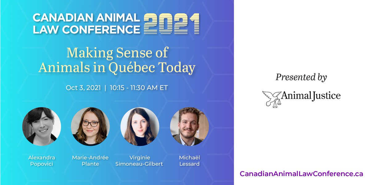 AnimalJustice's tweet photo. Join us for "Making Sense of Animals in Québec Today", a #CALC panel exploring the legal, linguistic &amp; socio-historical issues that underlie Québec's animal law reform. Ft. Alexandra Popovici, @maplante, @milessard, Virginie Simoneau-Gilbert!

Register ➡️ https://t.co/0c1UMvFHEl https://t.co/y3WAAKucZb