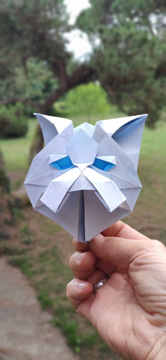 Persian head cat buy <a href="/Kyohei_Katsuta/">勝田恭平／Katsuta Kyohei</a> 
Amazing design ! But please Kyohei my cat need to find his body ! He's really desapionted to be just a head cat 😸
Seems not really happy 😂
Please plublish somewhere your amazing entire Persian cat ! 😄